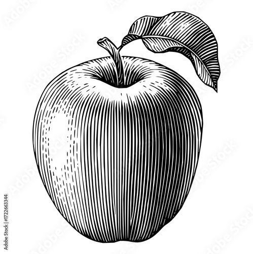 Elegant etched apple with leaf, a classic symbol of knowledge and health, perfect for educational or culinary designs