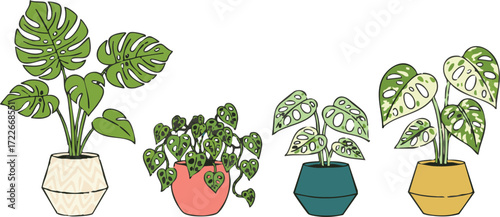 Four potted plants sit in a row, each with unique foliage and colorful pots, creating a cheerful and modern botanical display.