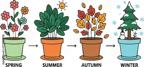 Plant transforms through four seasons, showing spring flowers, summer leaves, autumn foliage, and winter snow in a cyclical representation of nature's changes.