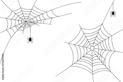 Two spider webs with spiders isolated on transparent background