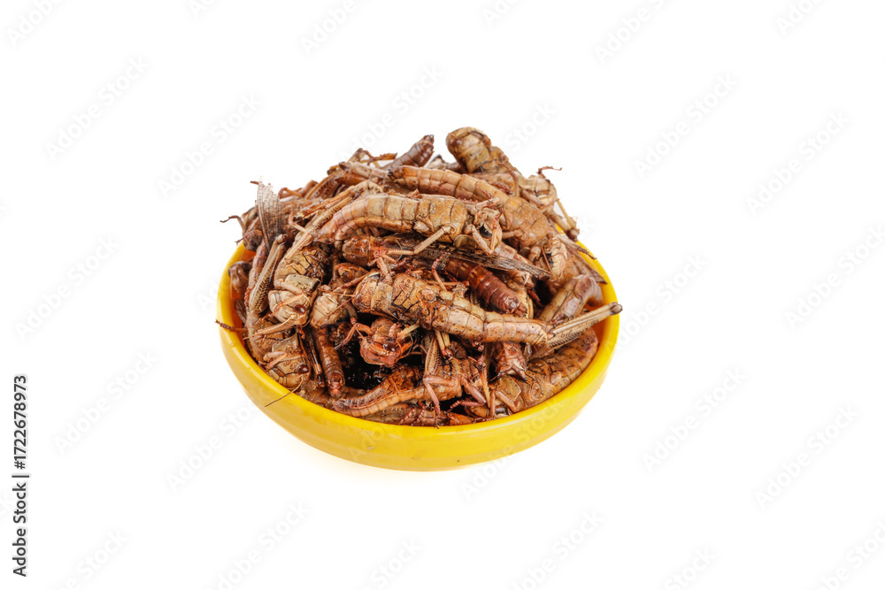 Obraz premium Fried Locusts Grasshoppers Shandong Chinese Cuisine Edible Insects Yellow Bowl Traditional Delicacy Alternative Protein