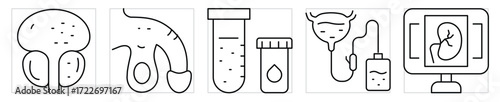 Urology icons set. Kidney and bladder related symbols. Vector editable stroke.