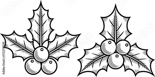 Classic holly sprigs with berries, symbolizing winter and festive holidays.
