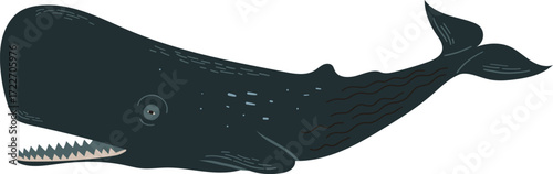A dark gray sperm whale with its mouth open