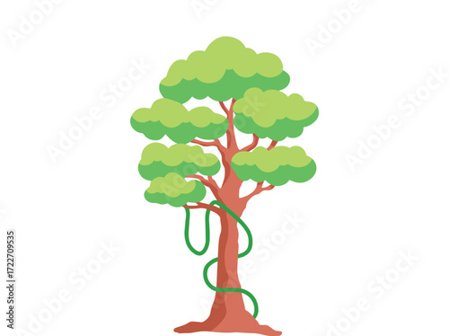 Tropical Rainforest Tree Clip Art
