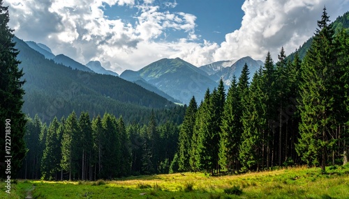 Serene panorama of lush forest stretching towards misty mountain range under a vibrant sky, punctuated by fluffy clouds, evokes peace