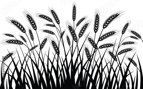 Black Silhouette Prairie Grass Vector,  Tall Blades and Feathery Plumes, Wild Meadow Grass Illustration for Nature Designs, Rural Backgrounds, Landscape Graphics, and Decorative Projects