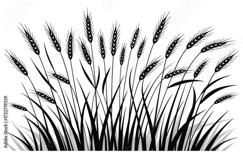 Prairie Grass Silhouette Vector,  Elegant Black Wild Meadow Grass with Tall Blades and Plumes – Perfect for Nature Art, Landscape Backgrounds, Rural Design, and Decorative Elements