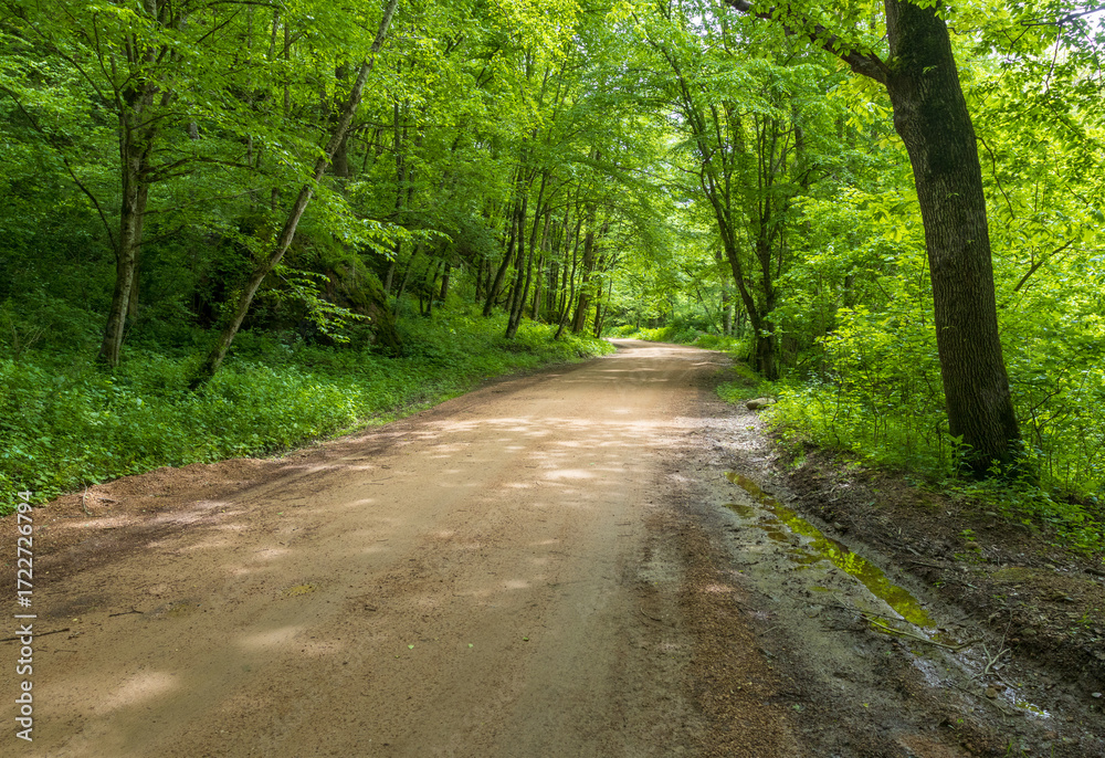 Fototapeta premium a mountain river and the surrounding area with woodlands and clearings with paths