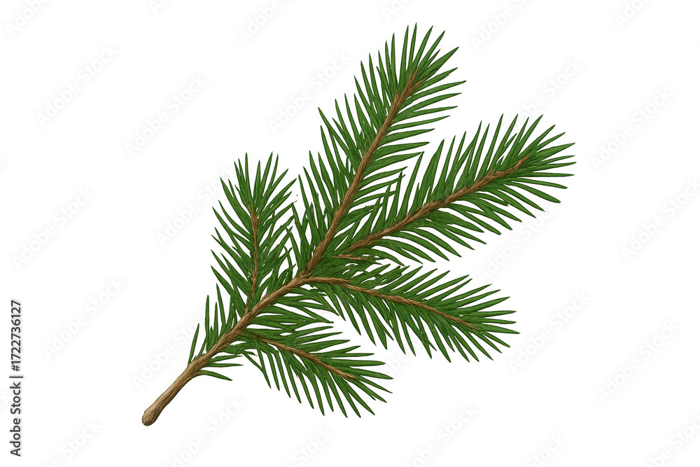 Naklejka premium Green fir tree branch illustration, symbolizing christmas, winter season, nature, evergreen plant, forest element