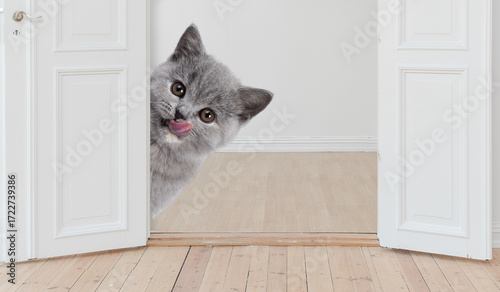 The cat is hiding behind
white door