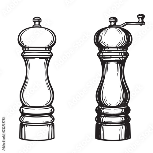 Elegant hand drawn vintage style salt and pepper grinders black and white illustration