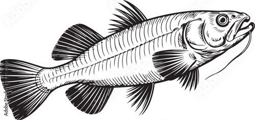 Vintage Fish engraving outline vector art illustration design, Fish silhouette, hand drawn, line art fish design