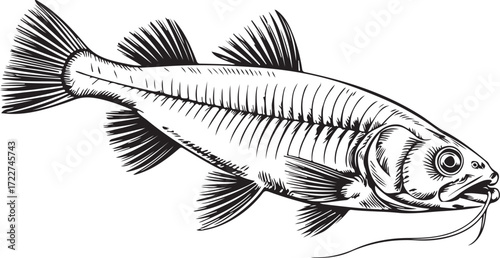 Vintage Fish engraving outline vector art illustration design, Fish silhouette, hand drawn, line art fish design