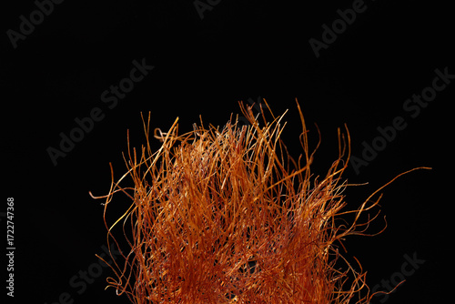 Dried Corn Silk Cornhusk Strands for Herbal Tea Brewing Natural Medicine Ingredient