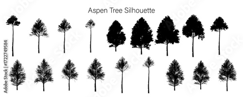Silhouette of various aspen trees in different shapes and sizes displayed in two rows on a white background