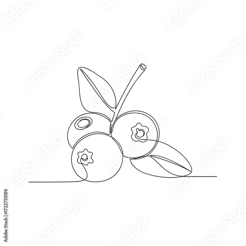 Сranberry with leaves in minimalist black line art style