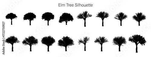 Illustration showing a collection of sixteen black silhouette trees arranged in two rows on a white background