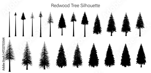 Illustration of multiple redwood tree silhouettes in varying sizes and densities on a white background
