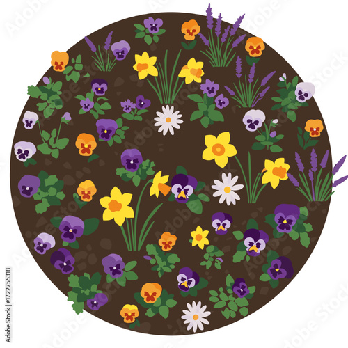 Round flower bed with colorful flowers, top view
