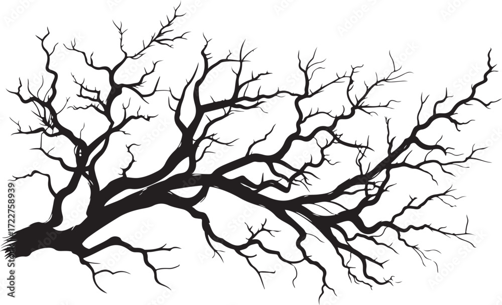Fototapeta premium Leafless Tree Silhouette Pack