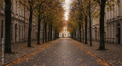 Autumn Avenue A Lined Street with Trees in Golden Fall Colors and Historical Buildings