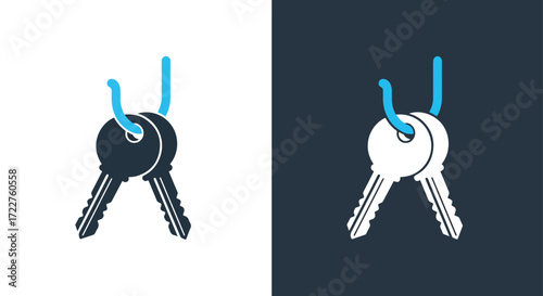 Modern metal keys hanging securely two distinct backgrounds for versatile design