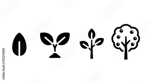 A sequence of four black icons showing the growth of a plant from a seed to a fruit tree.