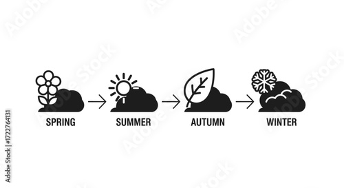 A minimalist icon set illustrating the four seasons cycle: Spring, Summer, Autumn, and Winter.