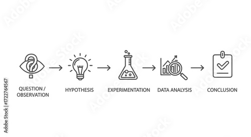 A linear graphic depicting the scientific method steps, from question to conclusion.