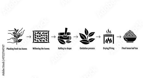 Illustration depicting the tea production process, showing steps from picking fresh leaves to the final loose leaf tea product.