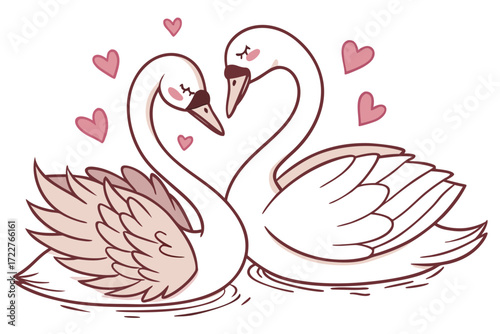 two swans on the lake