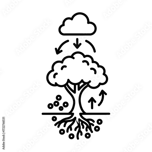 An illustration depicting the water cycle and nutrient exchange between a tree, soil, and clouds, showing precipitation and absorption.