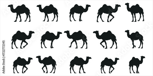 vector silhouettes of animals