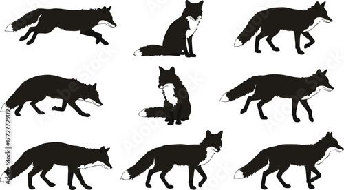 set of black silhouettes of animals