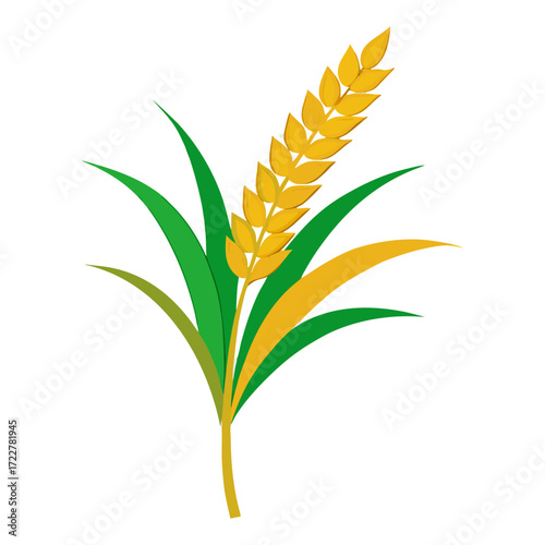 Golden Ripe Rice Panicle with Green Leaves Isolated on Transparent Background – Organic Agriculture and Harvest Concept.