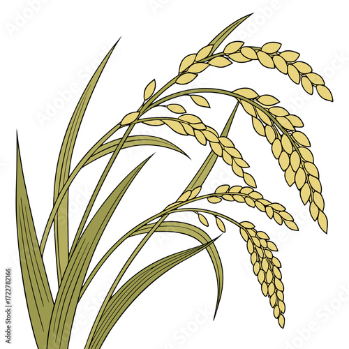 Golden Ripe Rice Panicle with Green Leaves Isolated on Transparent Background – Organic Agriculture and Harvest Concept.