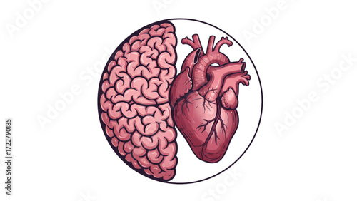 Advanced Brain and Heart Fusion Illustration: Symbolizing Mind Emotion Connection in Human Anatomy and Psychology