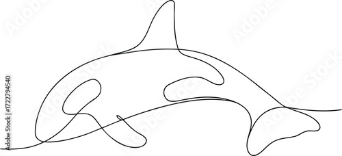 Single line drawing of an orca whale killer whale marine mammal