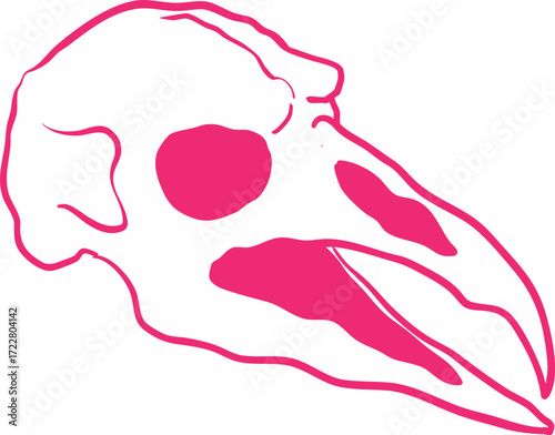 Crow Skull Illustration, Mystic Raven Skull Symbol of Prophecy and Witchcraft. Perfect for gothic design, halloween art, occult aesthetics, and dark magical decor.