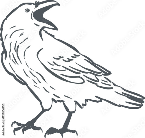 Raven Line Art Illustration, Mystical Halloween Bird Symbol of Witchcraft and Prophecy. Perfect for gothic clipart, enchanted designs, and spooky occult artwork