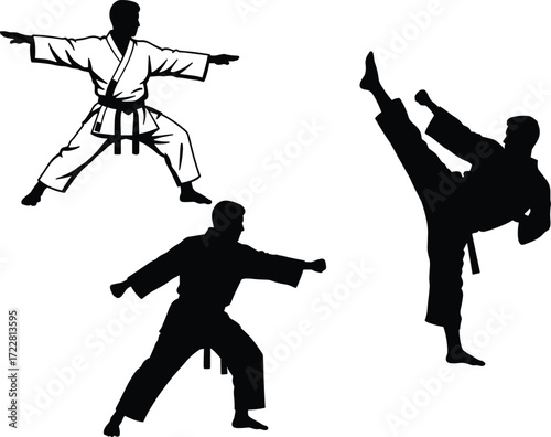 Martial arts silhouettes, karate training illustration, martial artist poses artwork, self defense practice 