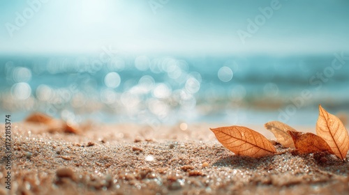 Tranquil Beach Scene with Leaves on Soft Sand and Gentle Waves