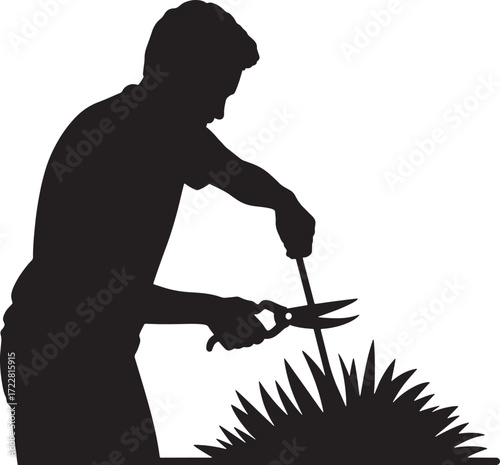 Gardener Pruning Bush Silhouette Image Person Gardening Pruning Hedge with Gardening Tools