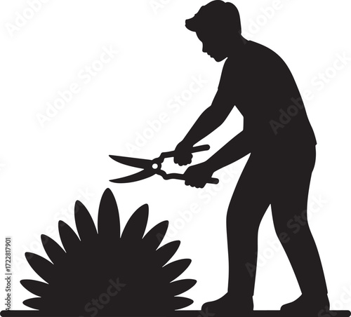 Silhouette of Man Trimming Bush Using Shears in Garden Isolated Transparent