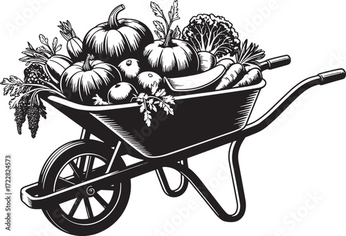 Wheelbarrow Full of Harvest Vegetables, Vector Illustration Isolated on Transparency