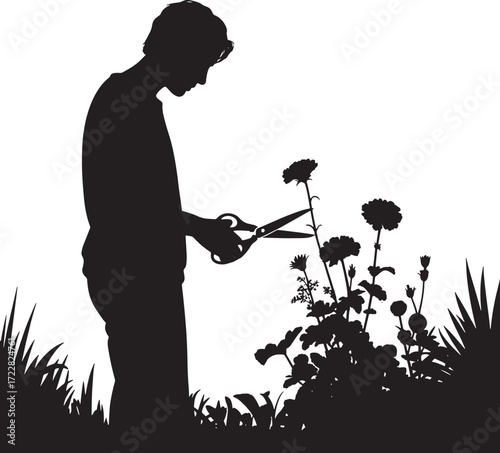 Man Gardening Vector Silhouette Trimming Flowers with Scissors in Garden