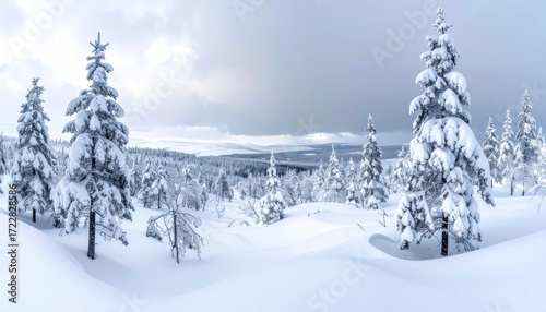 A snowy landscape with snow-covered fir trees under a cloudy sky in winter, evoking a serene and peaceful scene