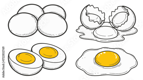 Egg-cellent Choices Whole, Cracked, and Boiled Egg Illustrations for Culinary Projects
