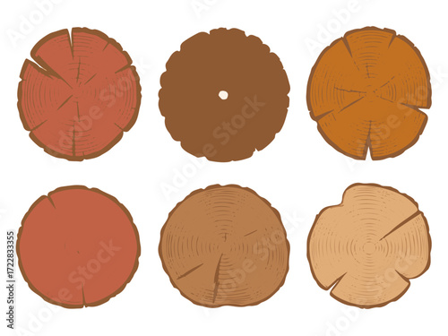 Collection of Rustic Wooden Cross-Sections Diverse Textures and Colors for Design Projects